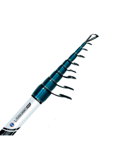 Caña de sargo Colmic Max Fight Pro 2